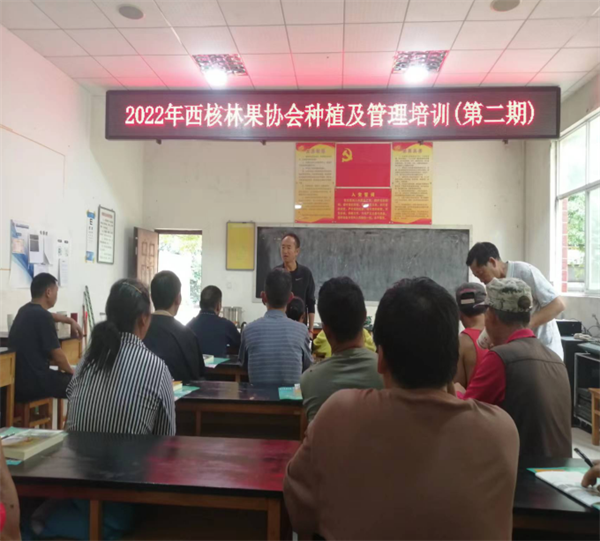 1664613192111018825.png 罗免.png