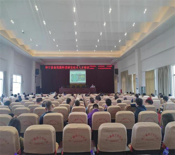 华宁.jpg